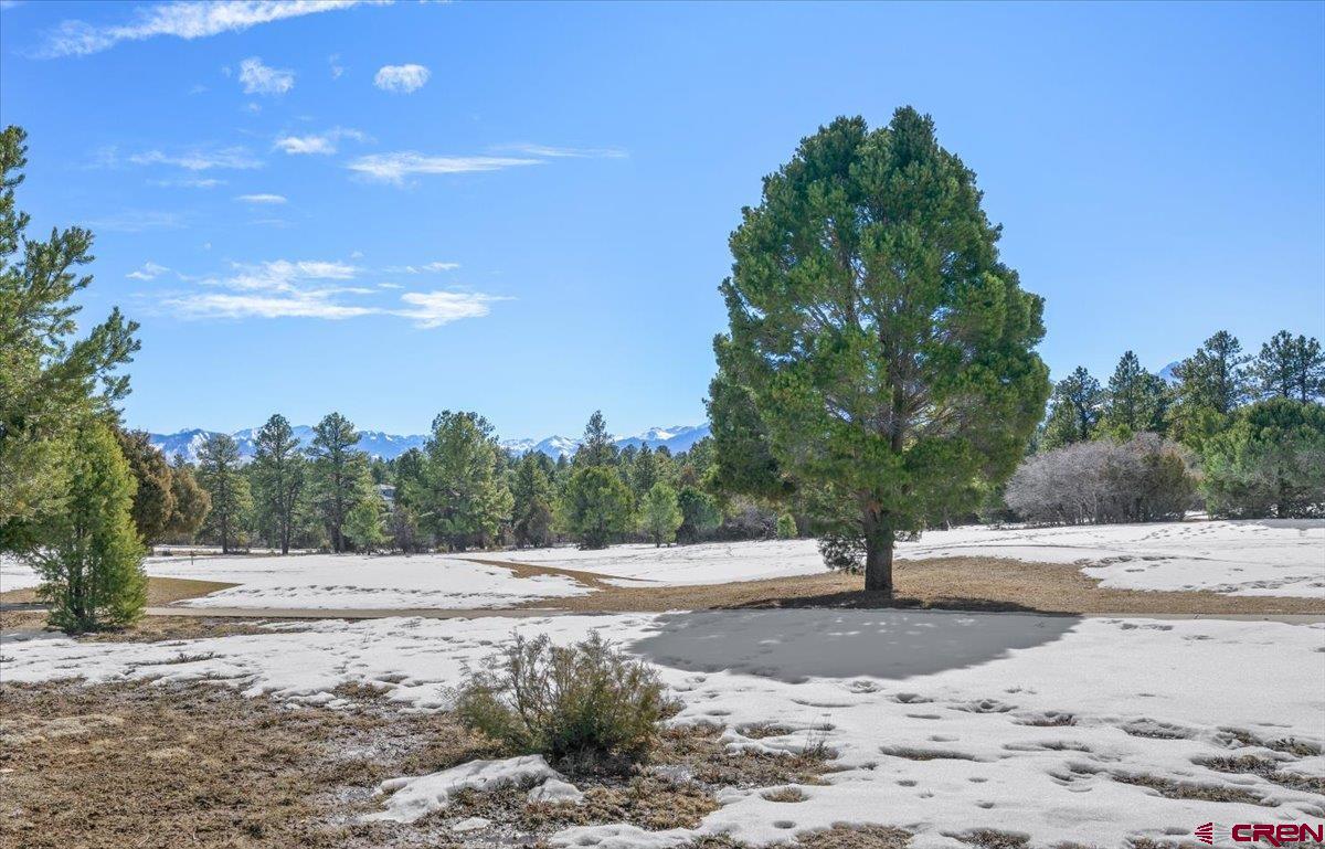 Tbd Lot 2 Tbd Lane Ridgway, CO 81432 - Photo 8 of 19