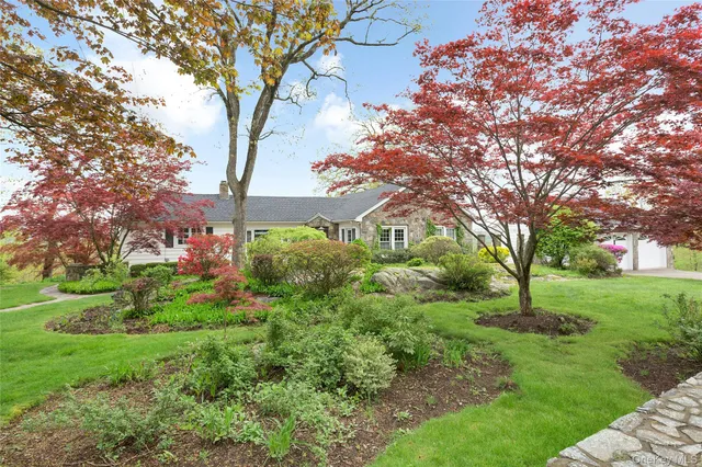 a view of a garden with a tree