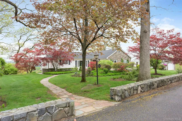 a view of a park with large trees