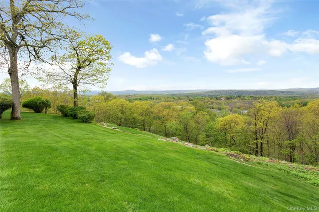 a view of a yard with an trees