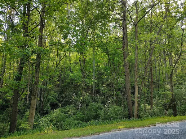 a view of a yard with a trees
