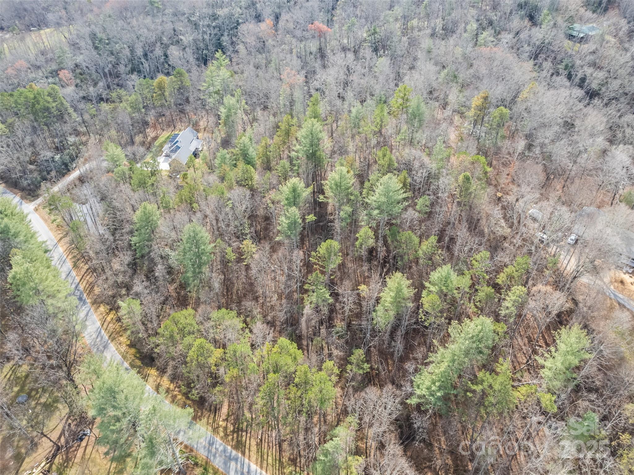 0 Lindsey Loop Road Fletcher, NC 28732 - Photo 2 of 13 a view of a forest with a lush green forest