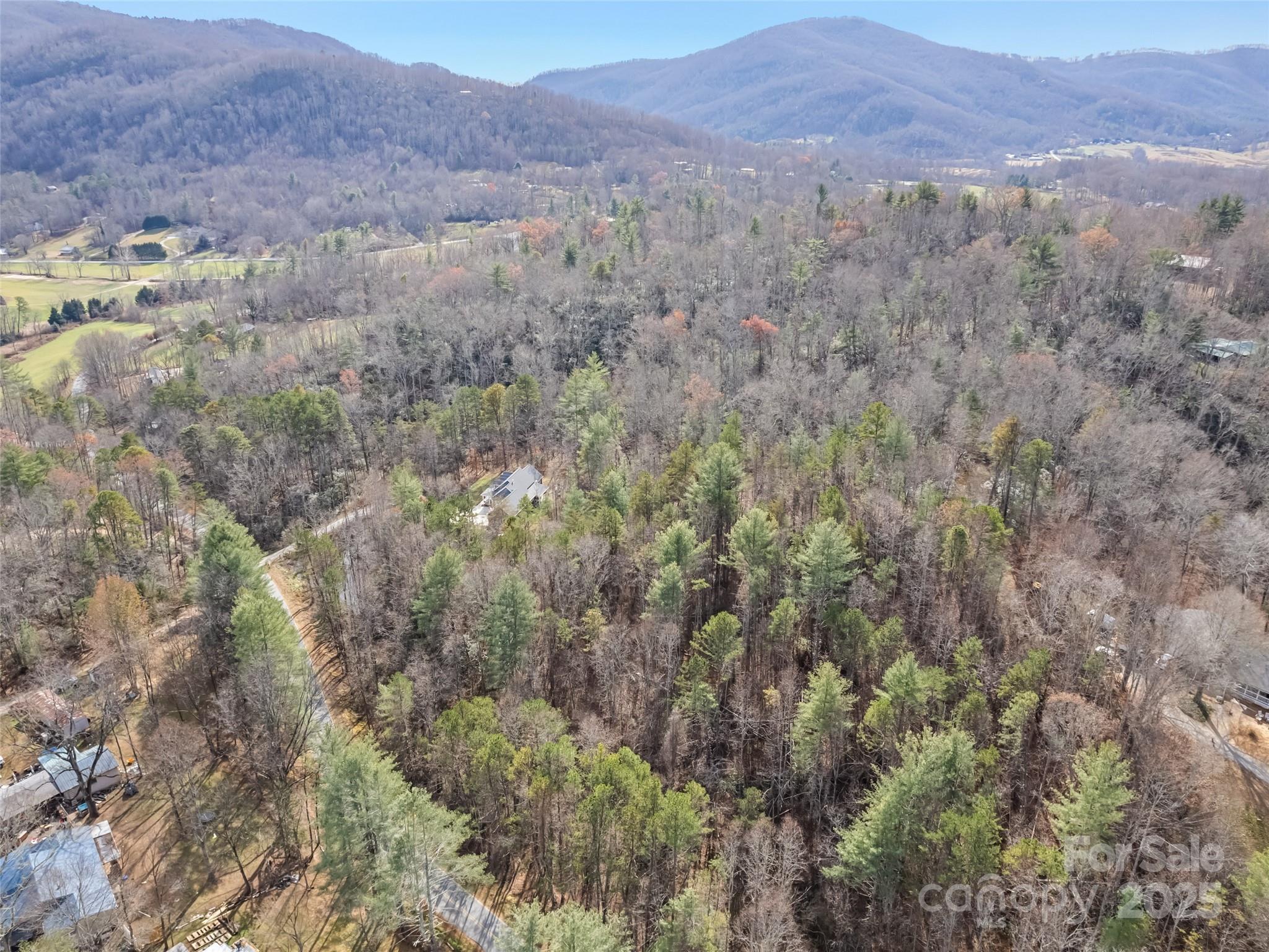 0 Lindsey Loop Road Fletcher, NC 28732 - Photo 3 of 13 a view of a forest with mountains in the background