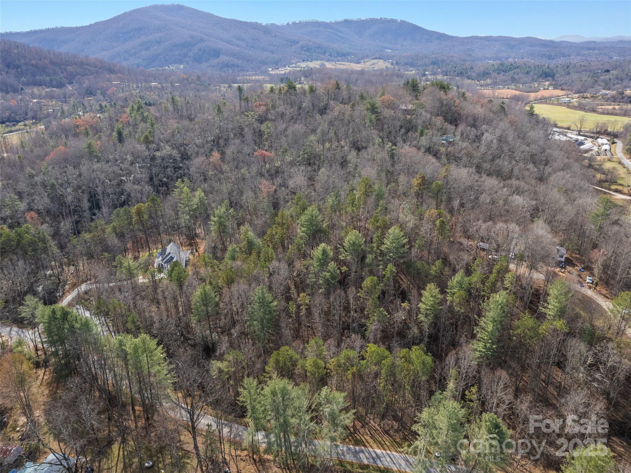 0 Lindsey Loop Road Fletcher, NC 28732 - Photo 4 of 13 a view of a mountain range with lush green forest
