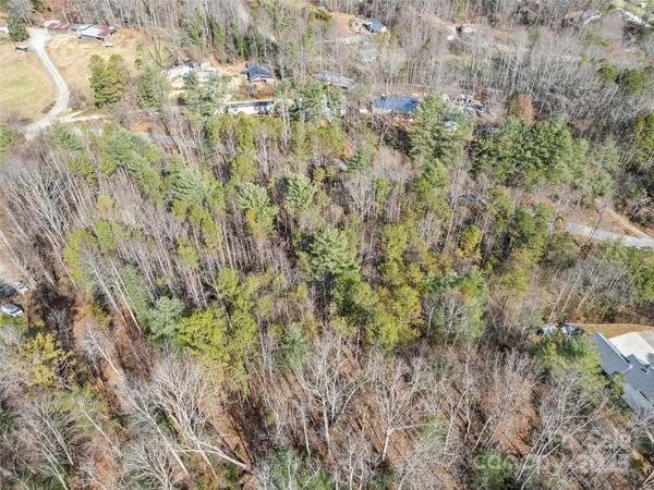 a view of a yard