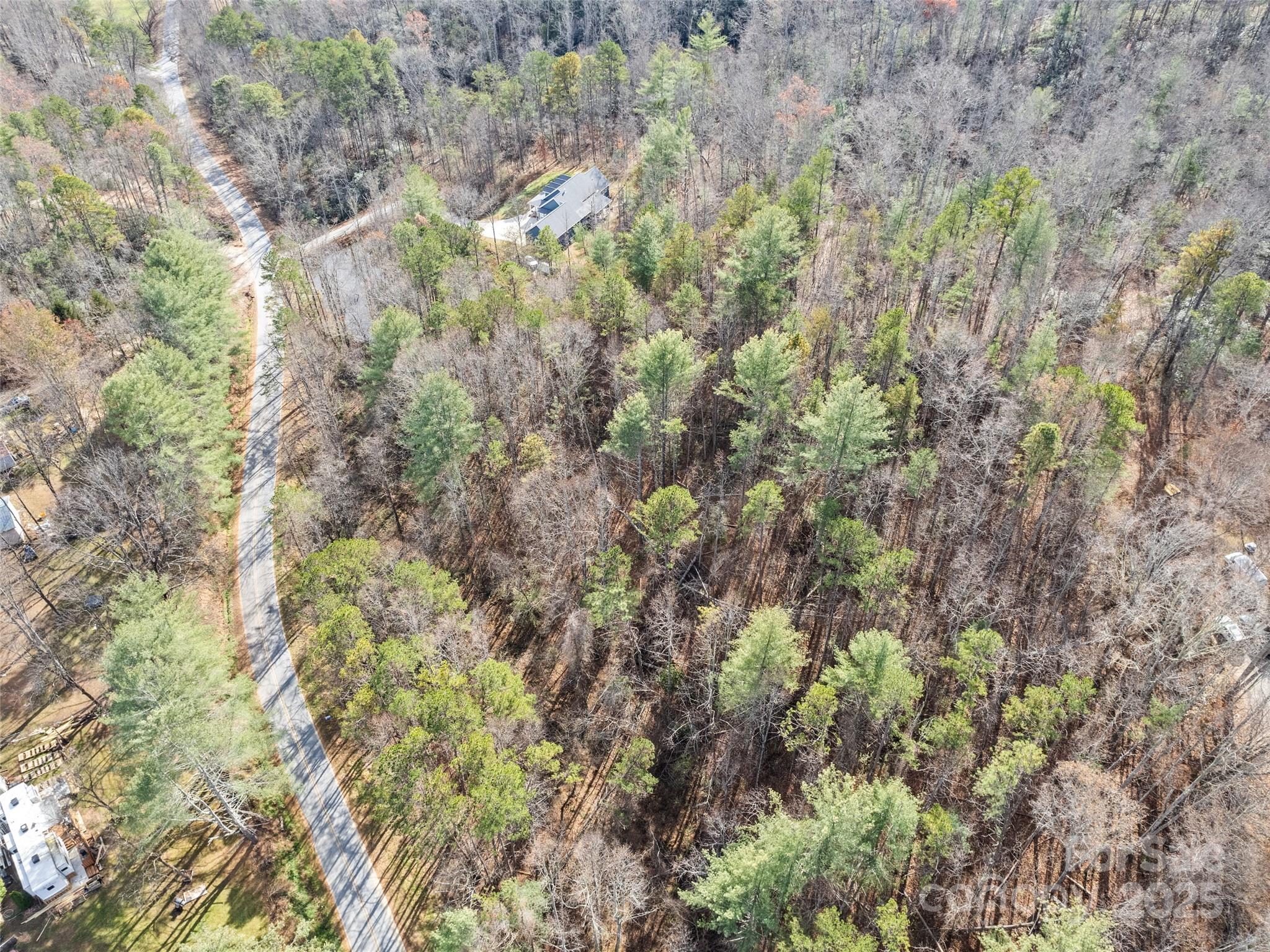 0 Lindsey Loop Road Fletcher, NC 28732 - Photo 7 of 13 a view of a forest with a tree