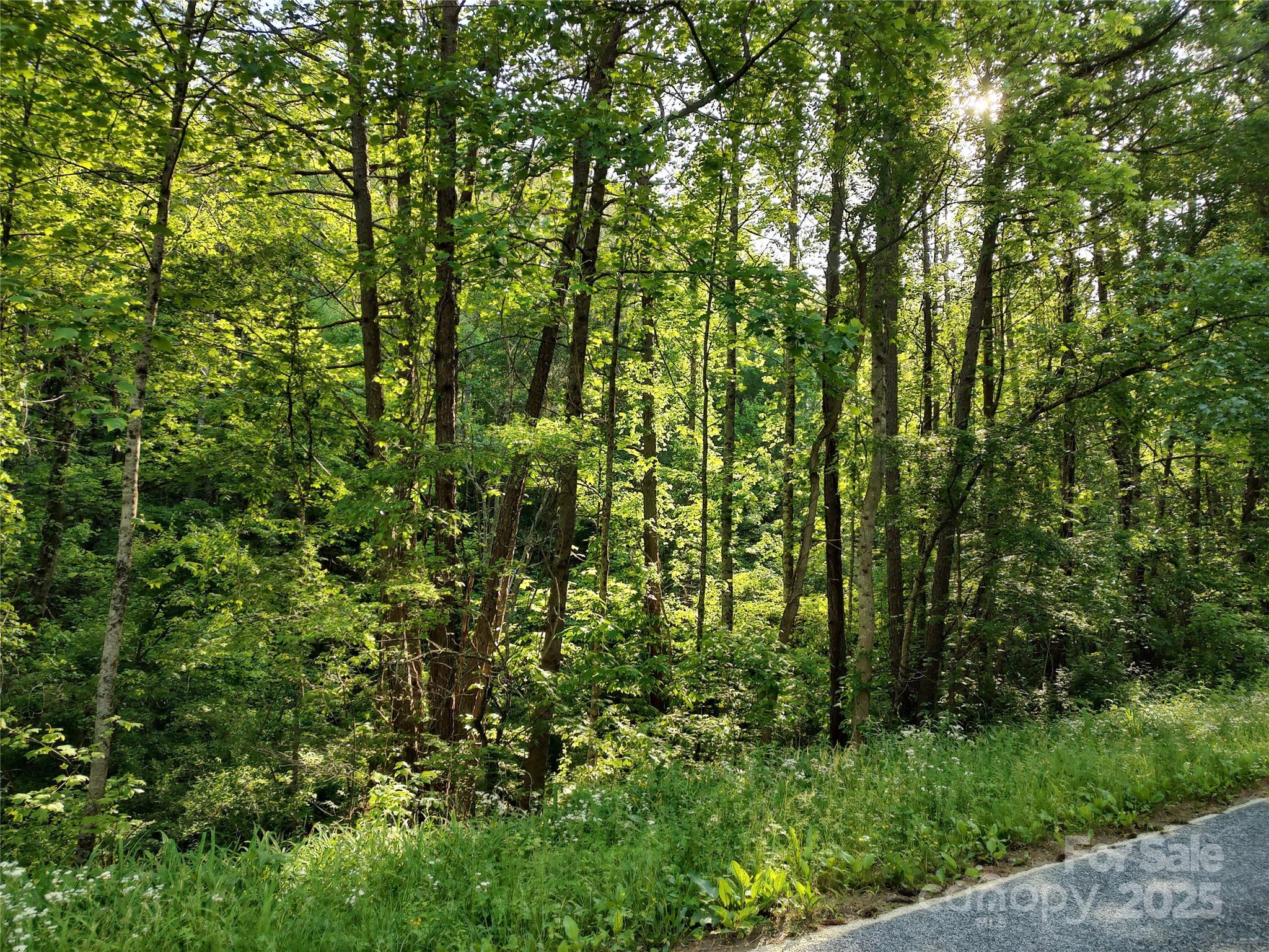 0 Lindsey Loop Road Fletcher, NC 28732 - Photo 9 of 13 a view of a lush green forest