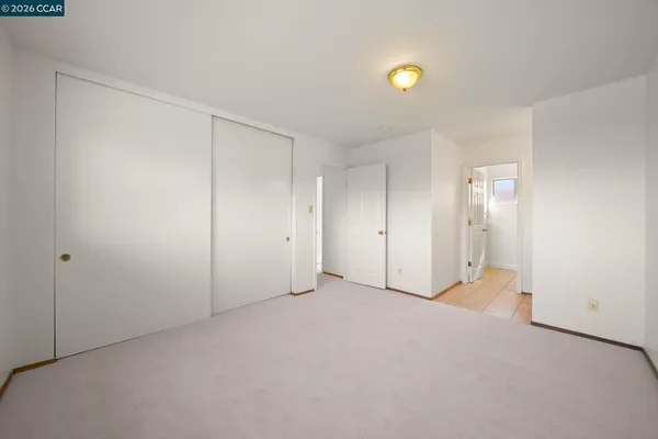 a view of a yard with plants and a large tree