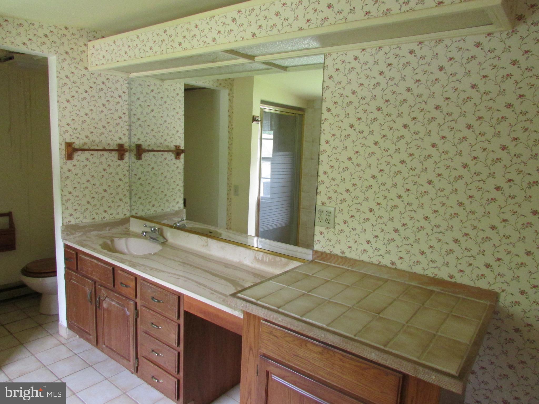 191 Myerstown Road Charles Town, WV 25414 - Photo 38 of 80 MASTER BATHROOM