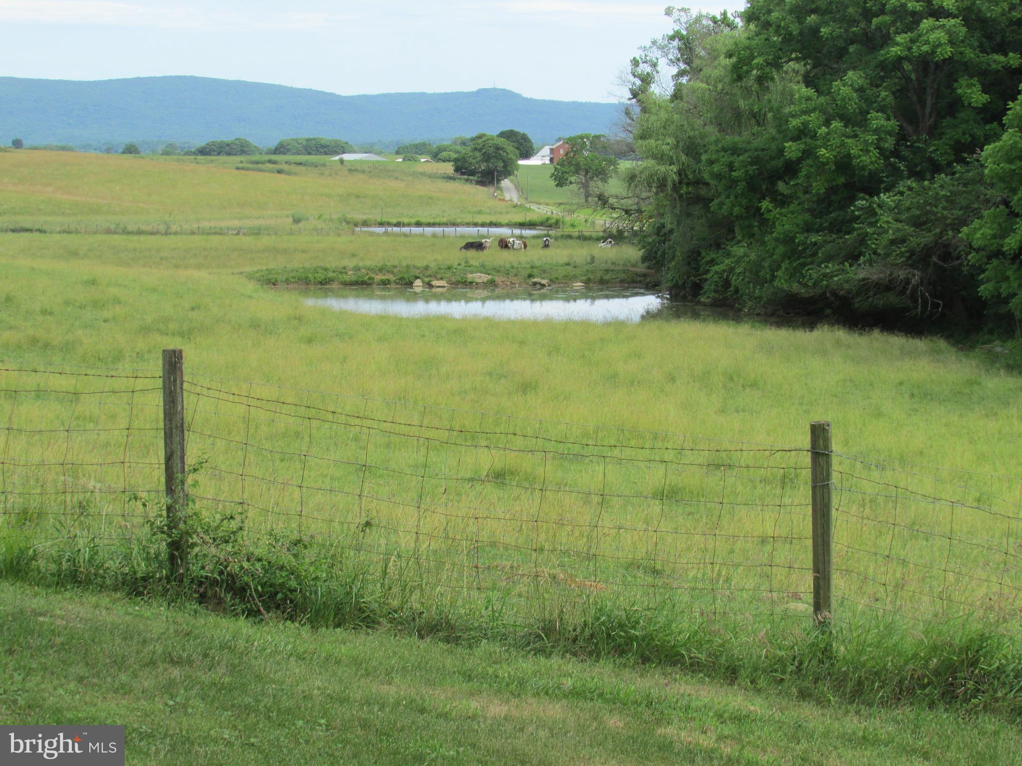 191 Myerstown Road Charles Town, WV 25414 - Photo 76 of 80