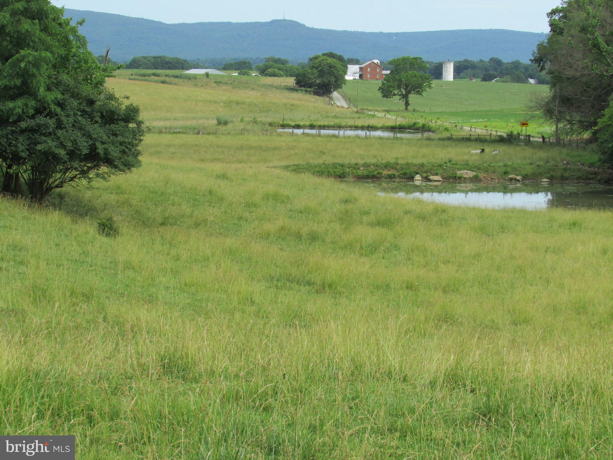 191 Myerstown Road Charles Town, WV 25414 - Photo 77 of 80