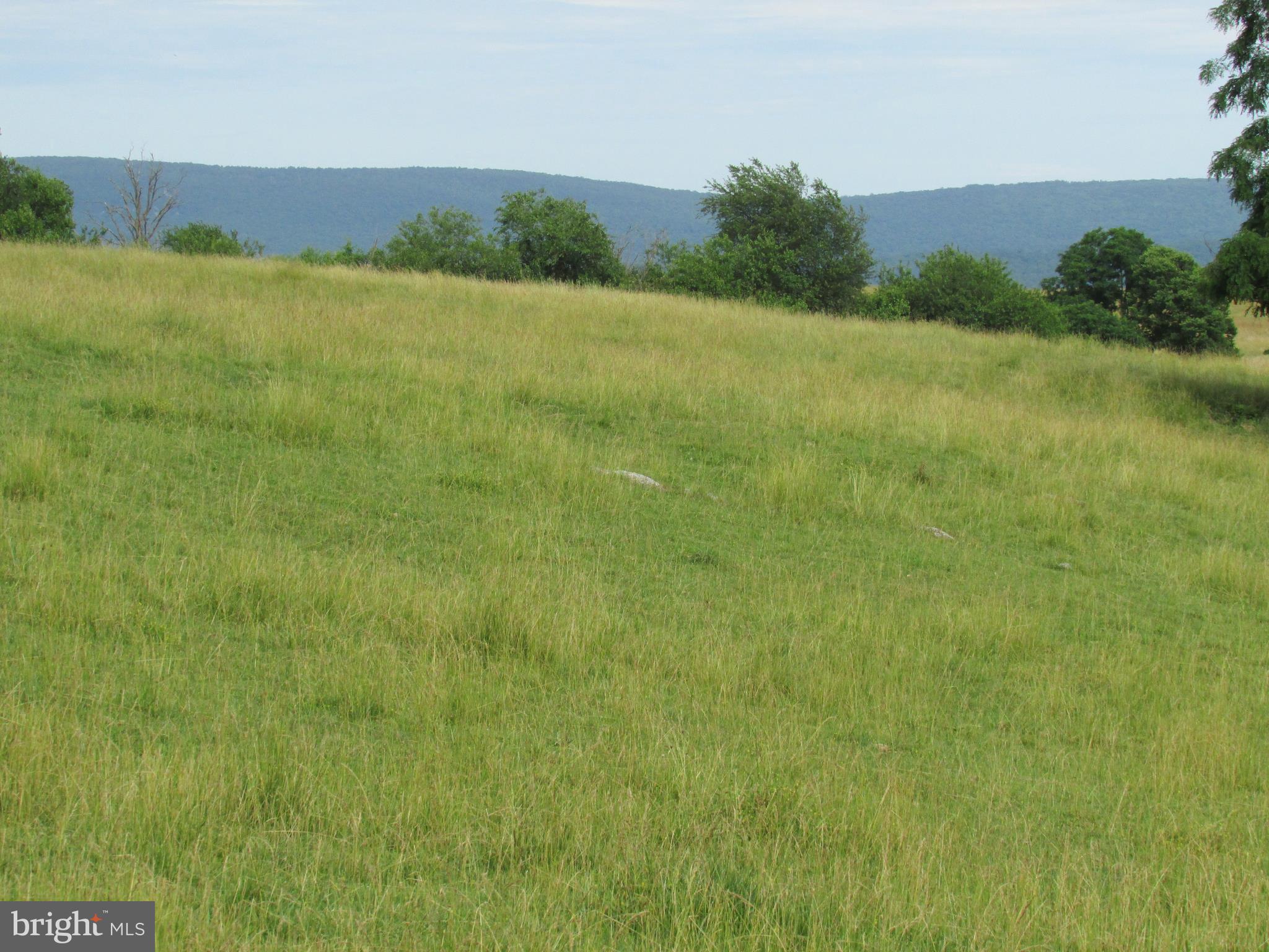 191 Myerstown Road Charles Town, WV 25414 - Photo 78 of 80