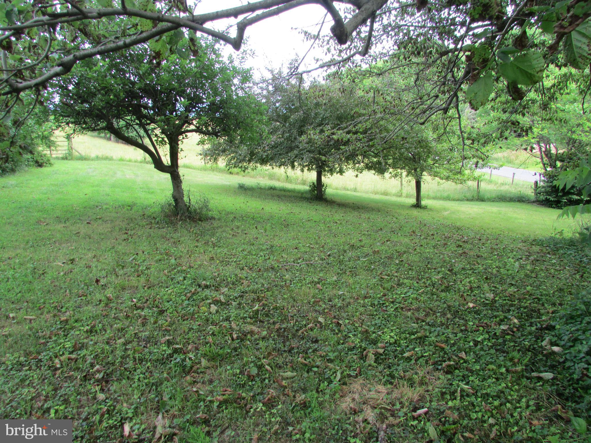 191 Myerstown Road Charles Town, WV 25414 - Photo 9 of 80 FRONT YARD