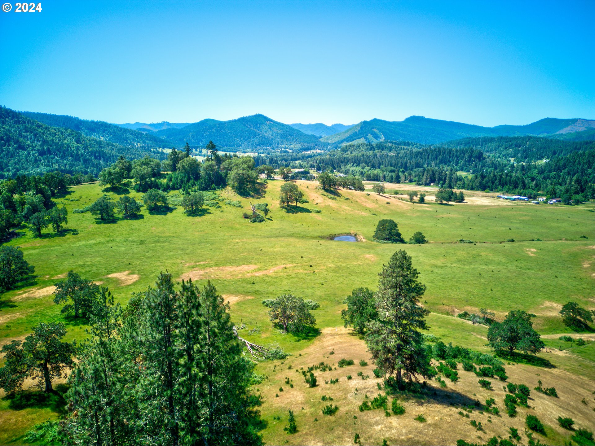 1161 Reston Road Tenmile, OR 97481 - Photo 19 of 32 a view of a lush green hillside and houses