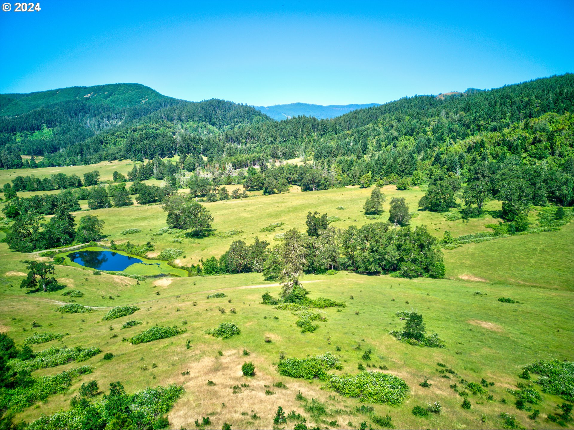 1161 Reston Road Tenmile, OR 97481 - Photo 29 of 32 a view of lake with green space