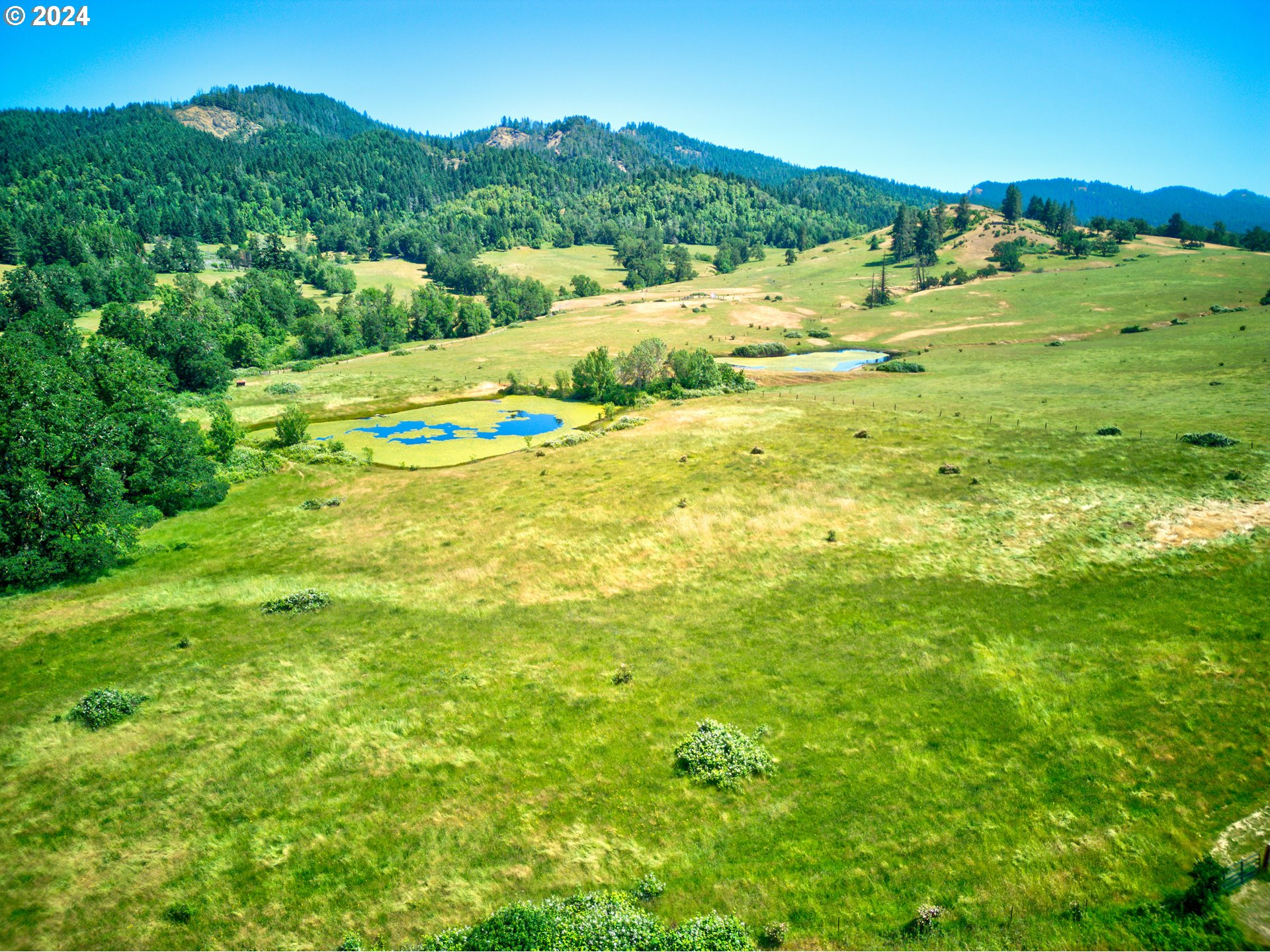 1161 Reston Road Tenmile, OR 97481 - Photo 30 of 32 a view of an outdoor space and a lake view