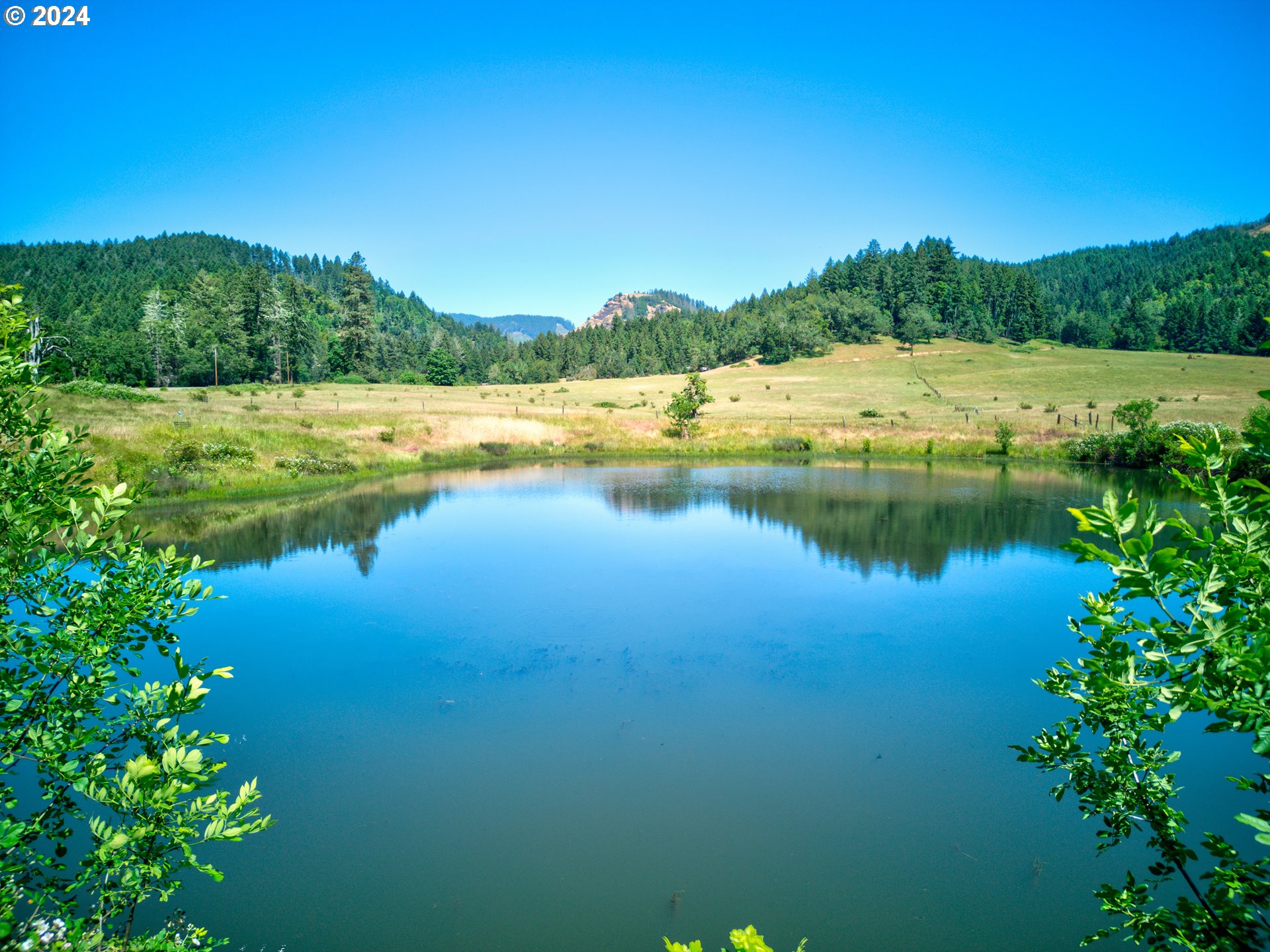 1161 Reston Road Tenmile, OR 97481 - Photo 32 of 32 a view of lake with green space