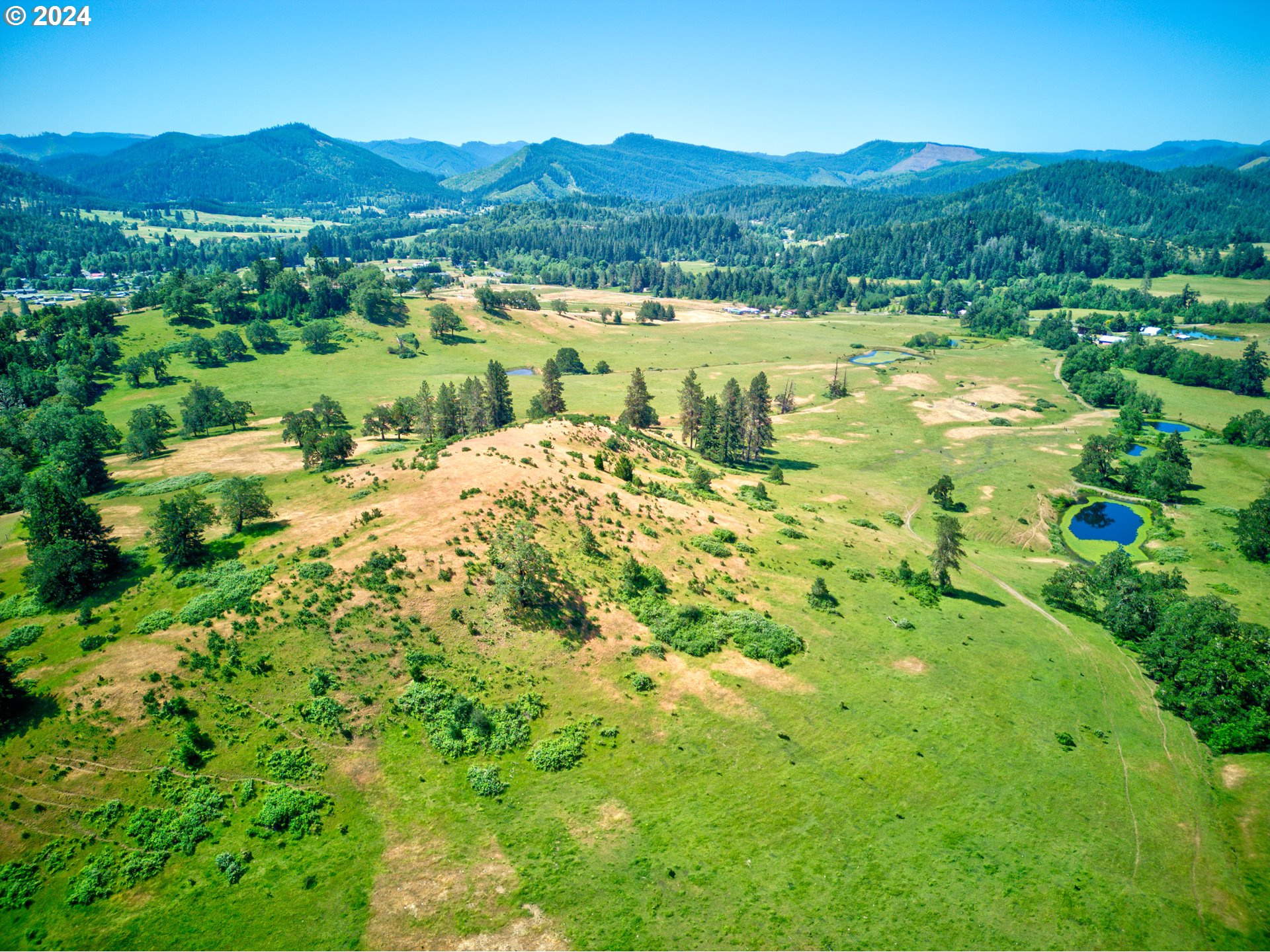 1161 Reston Road Tenmile, OR 97481 - Photo 7 of 32 a view of a lush green hillside and houses