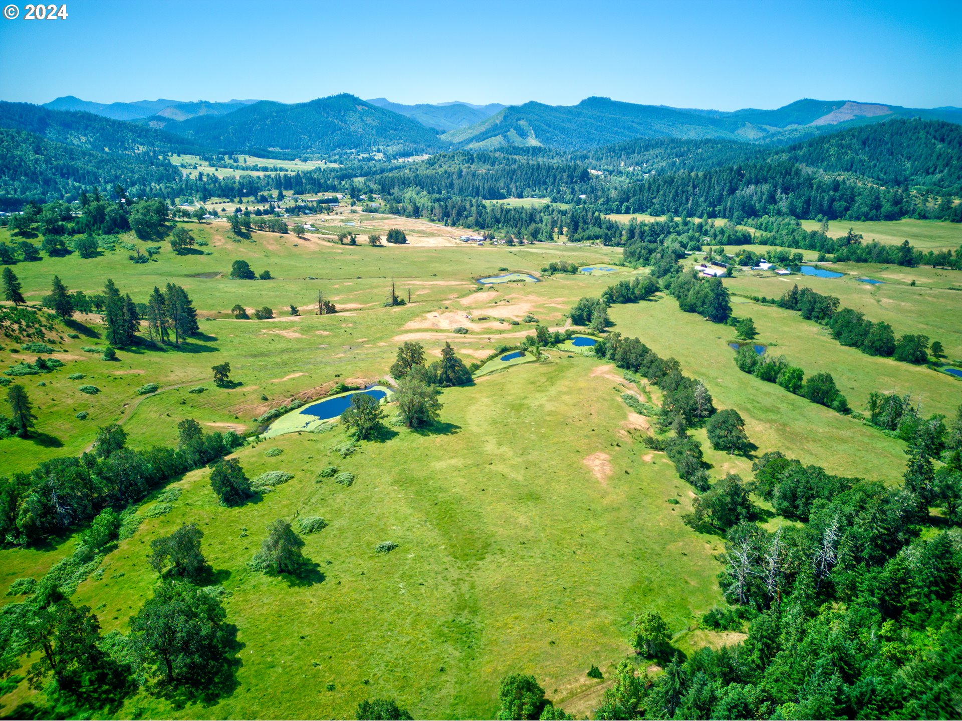 1161 Reston Road Tenmile, OR 97481 - Photo 8 of 32 a view of a lush green hillside and houses