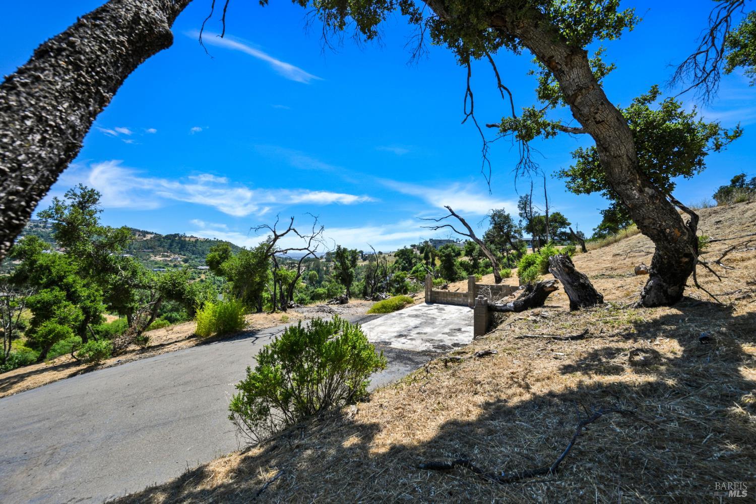 1400 Michele Way Santa Rosa, CA 95404 - Photo 10 of 35 a view of a garden with an empty space