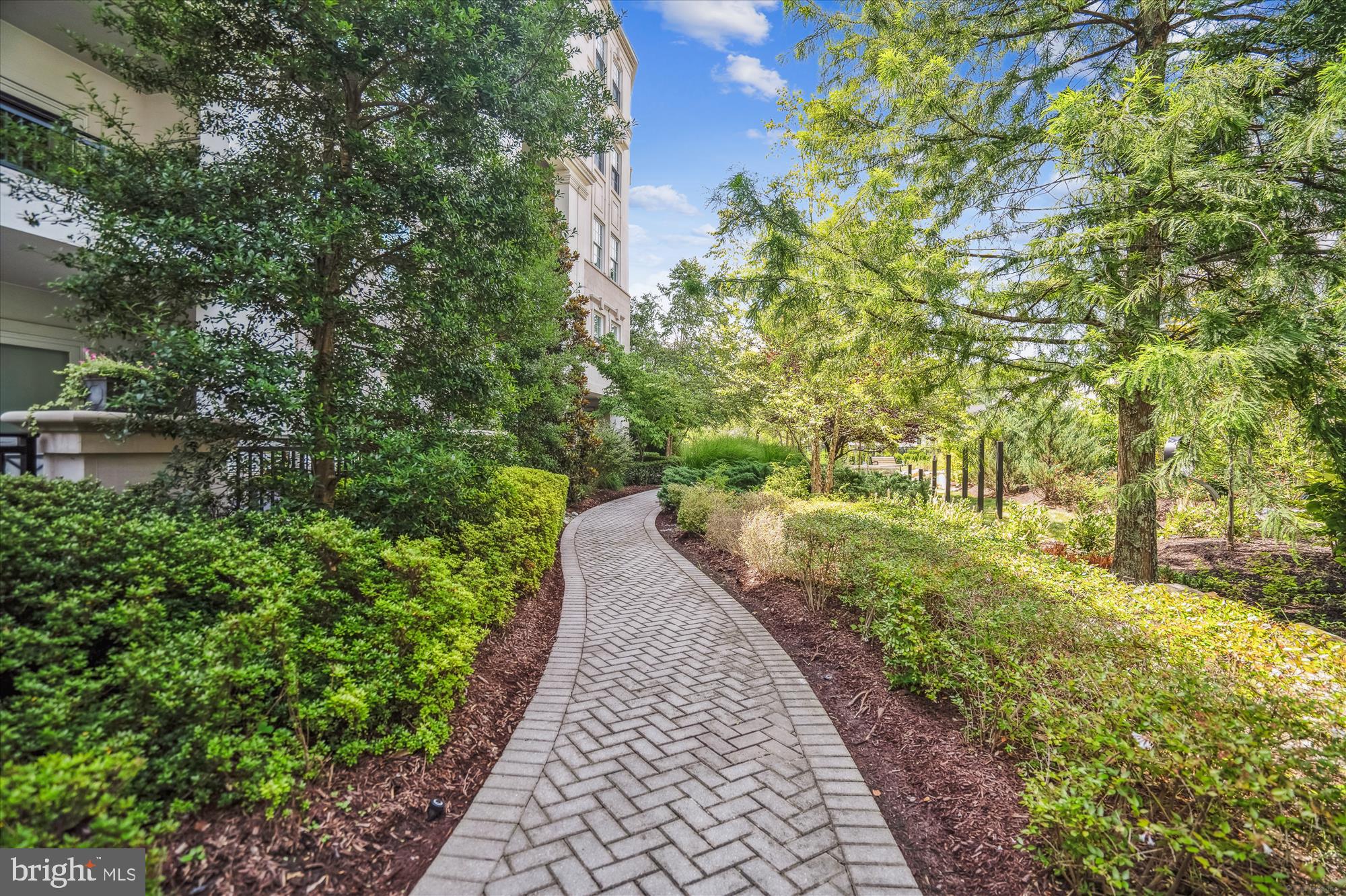 8229 River Road Bethesda, MD 20817 - Photo 51 of 57 Walking Path