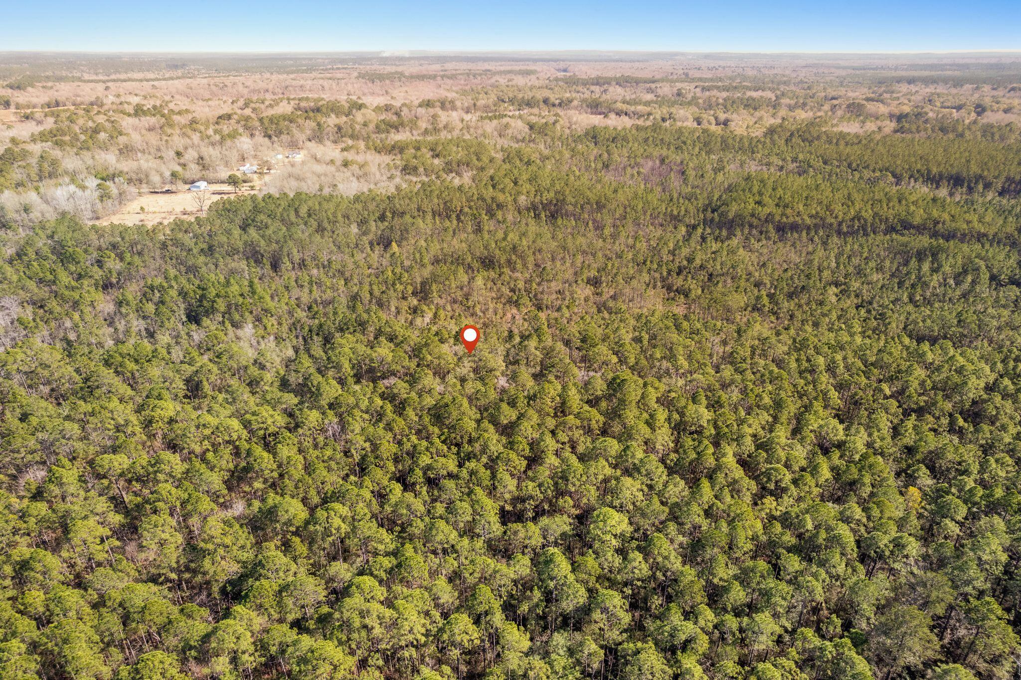301 Woods Road Lucedale, MS 39452 - Photo 14 of 17 Woods_Road-15