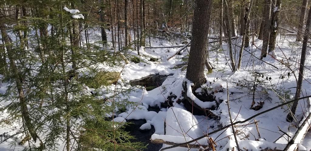 0 Easter Hill Road Roxbury, ME 04275 - Photo 22 of 56 20210107_133508