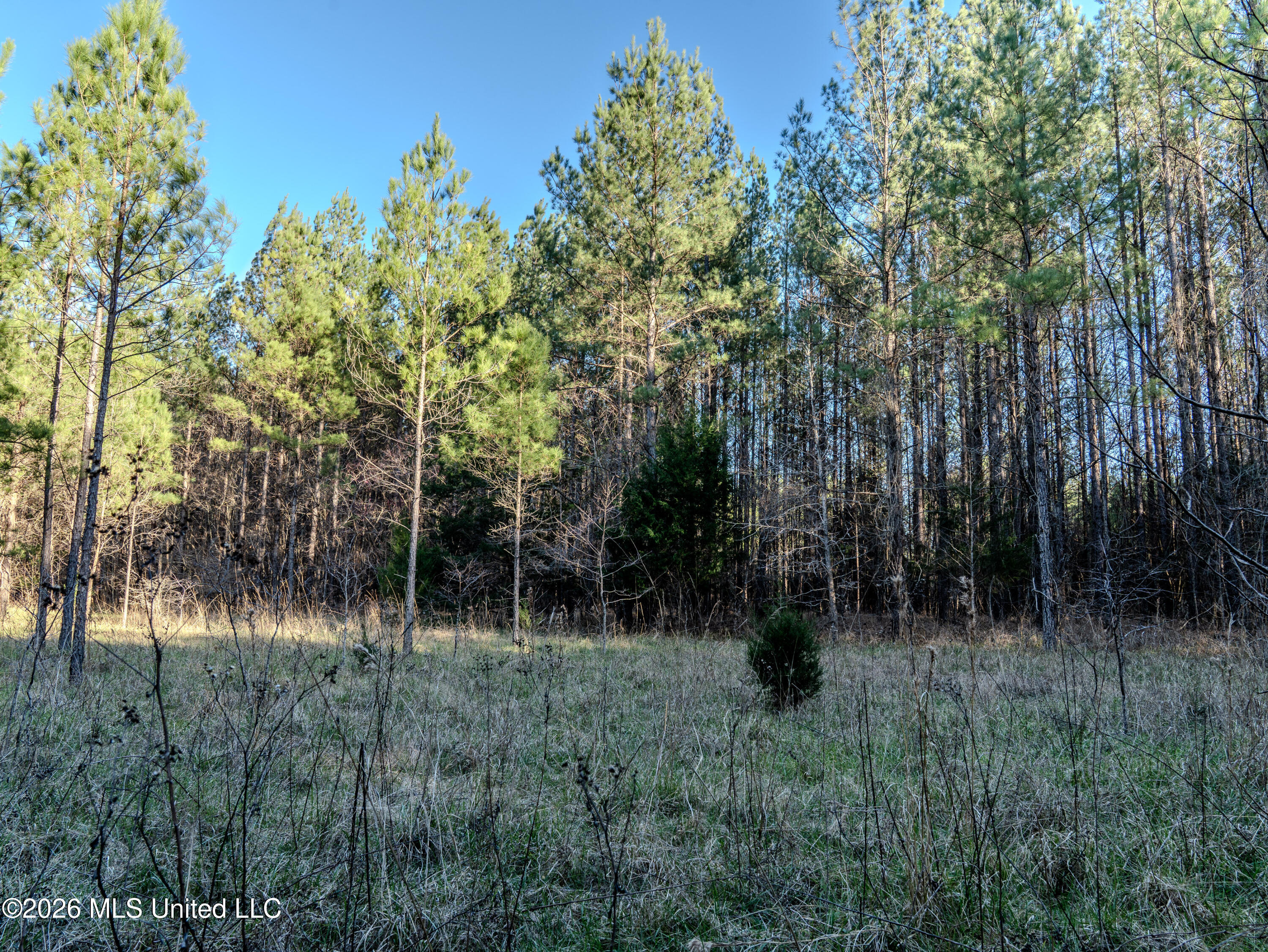 2414 County Road Newton, MS 39345 - Photo 40 of 40 A7401881