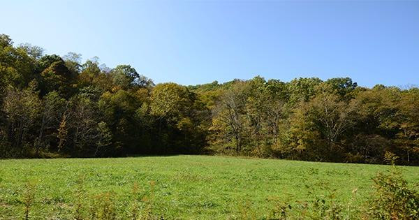 1 Anderson Branch Road Stanton, KY 40380 - Photo 19 of 27 Photo 19
