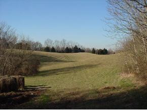 0 South Allens Bridge Road Greeneville, TN 37743 - Photo 1 of 3 Photo 1