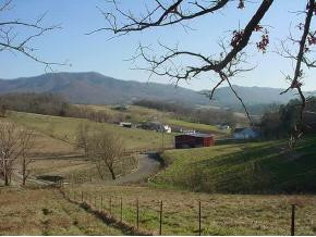 0 South Allens Bridge Road Greeneville, TN 37743 - Photo 3 of 3 Photo 3