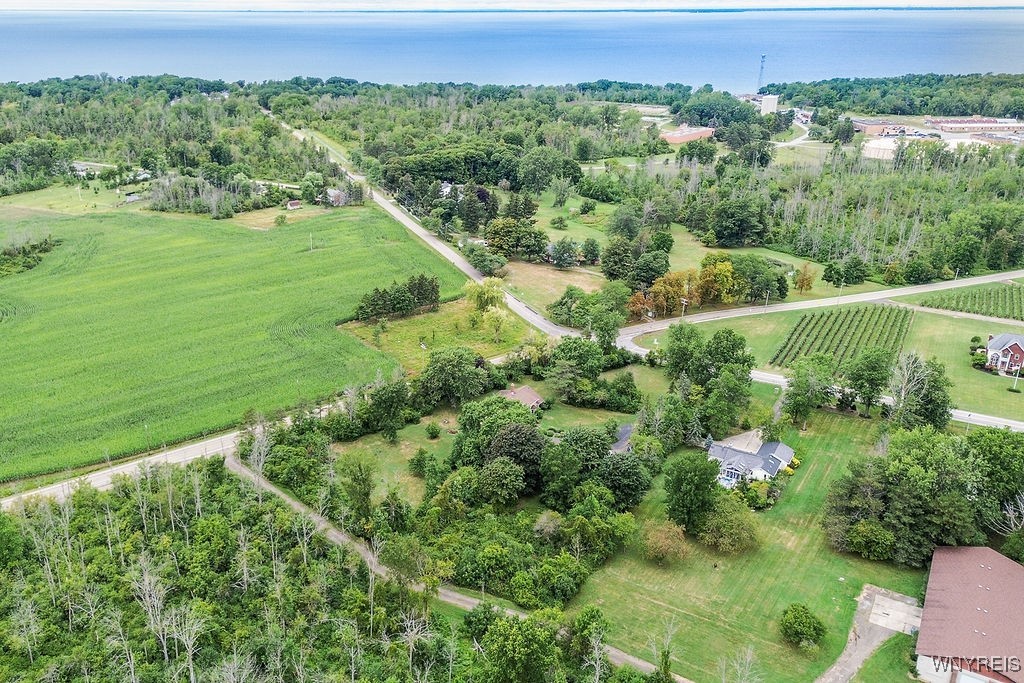 767 Sturgeon Point Road Evans, NY 14047 - Photo 6 of 46