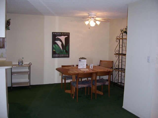 5525 East Thomas Road, Unit P3 Phoenix, AZ 85018 - Photo 3 of 4 Additional Photo