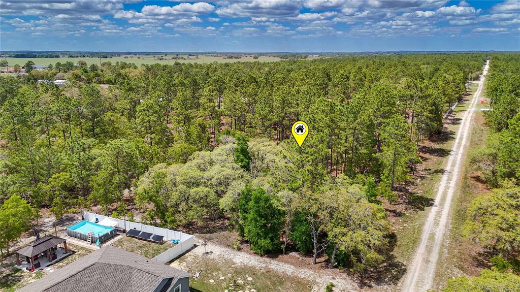 Tbd Southwest 137th Ct Road Dunnellon, FL 34432 - Photo 3 of 19