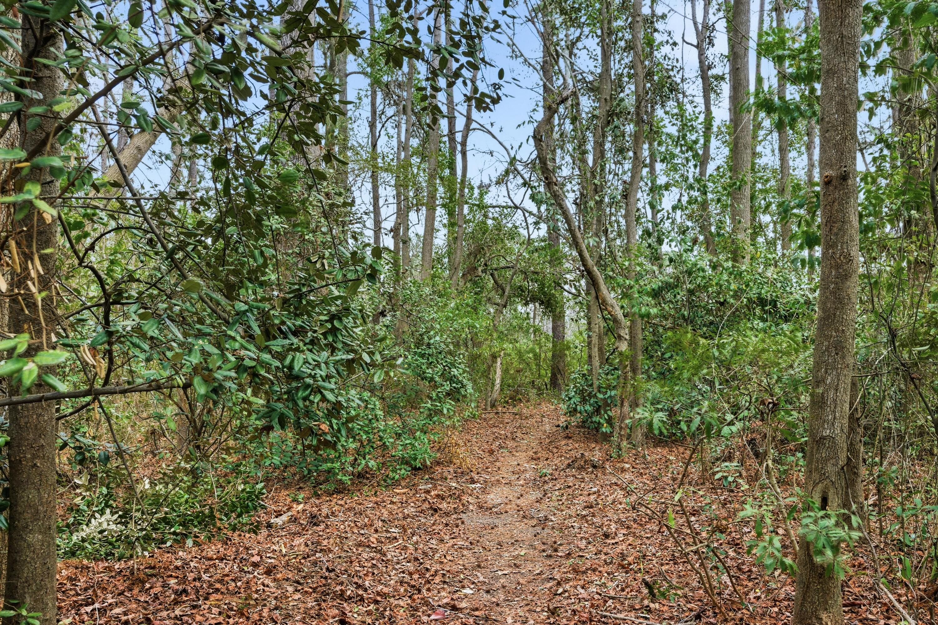 121 Jakes Lane Mount Pleasant, SC 29464 - Photo 57 of 71 67