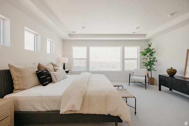 5902 Canyon Rim Road, Unit 620 Lehi, UT 84048 - Photo 39 of 78 Spacious room with light-colored carpeting, a tray ceiling, and recessed lighting