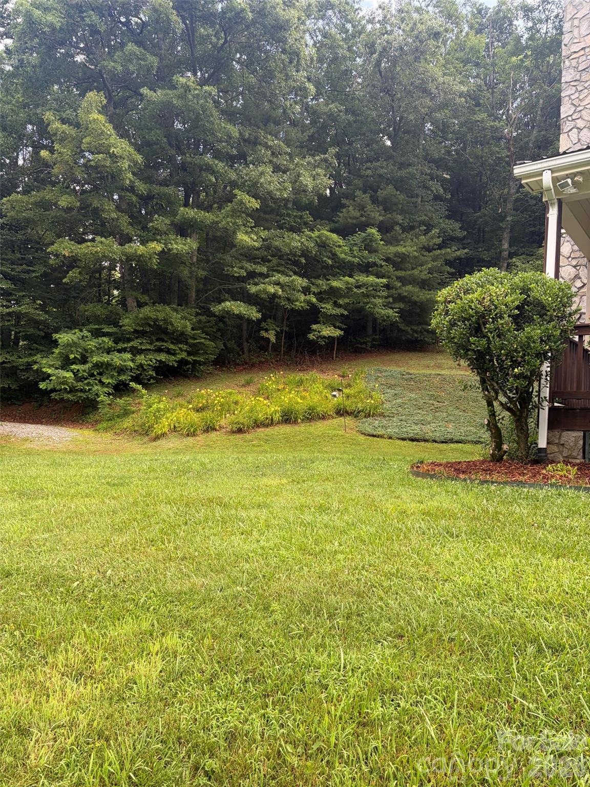 2997 Phillips Gap Road West Jefferson, NC 28694 - Photo 2 of 48