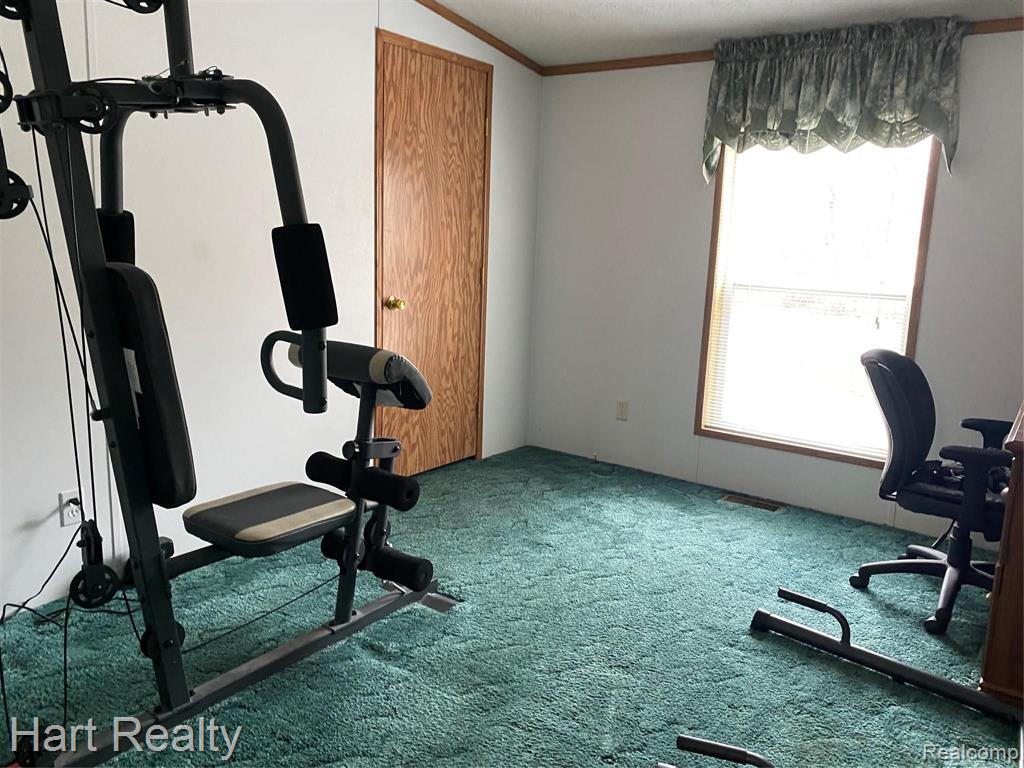 5355 Chambers Road Mayville, MI 48744 - Photo 18 of 27