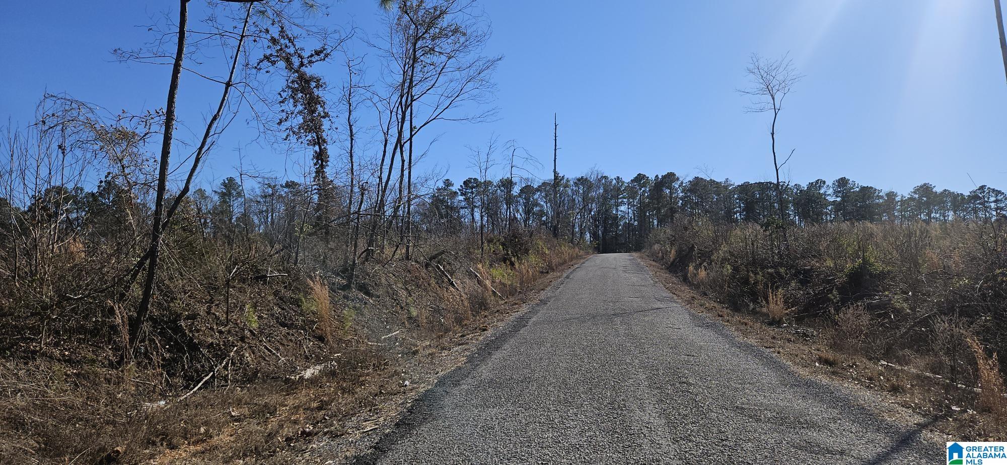 2 County Road 36, Unit 2 Randolph, AL 36792 - Photo 6 of 6