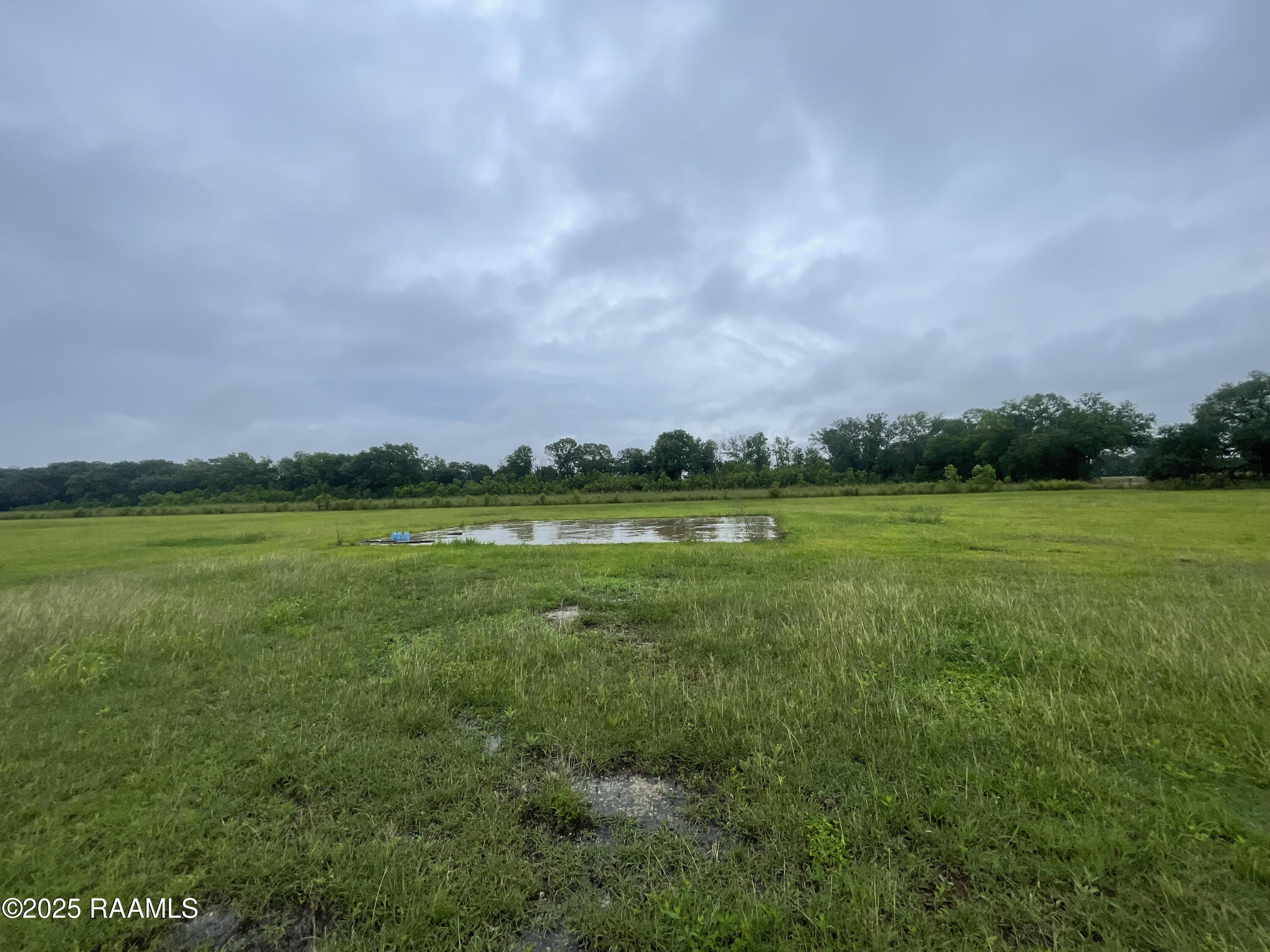 10135 Romules Road Kaplan, LA 70548 - Photo 3 of 4 land1