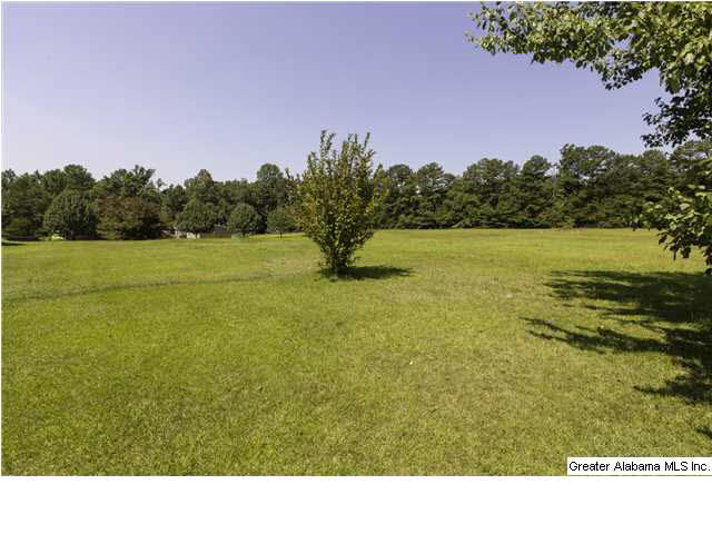 3706 Mt Olive Road Mount Olive, AL 35117 - Photo 4 of 20