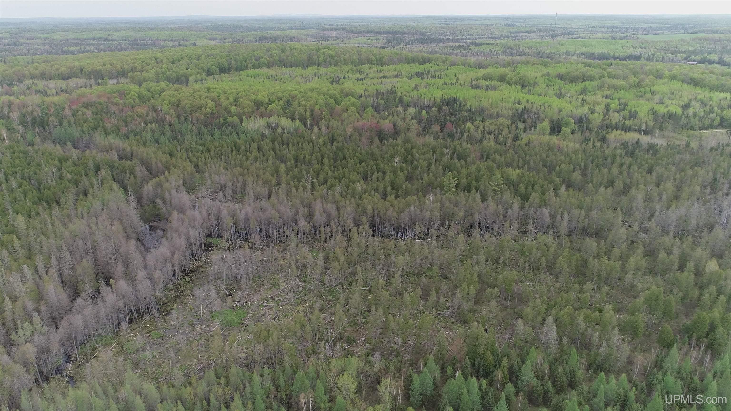 9 Rd Foster City Mi 49834 Road Felch, MI 49831 - Photo 15 of 32
