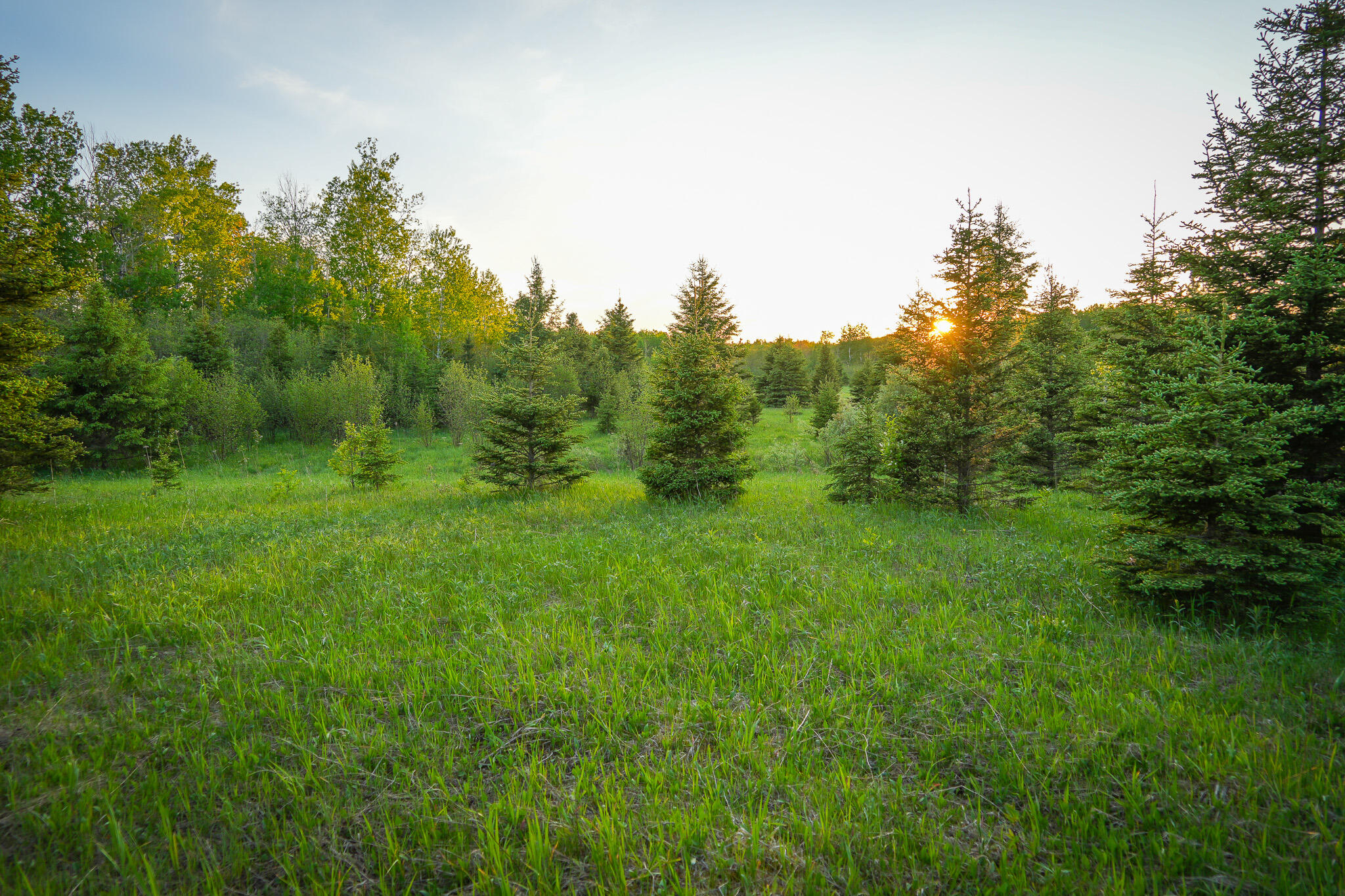 V/l V/l 33rd Road Perkins, MI 49872 - Photo 67 of 70 DSC00108