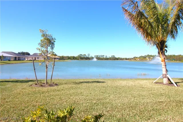 a living room filled with furniture and a potted plant