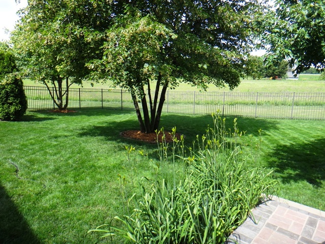 17720 South Gougar Road Lockport, IL 60441 - Photo 33 of 33