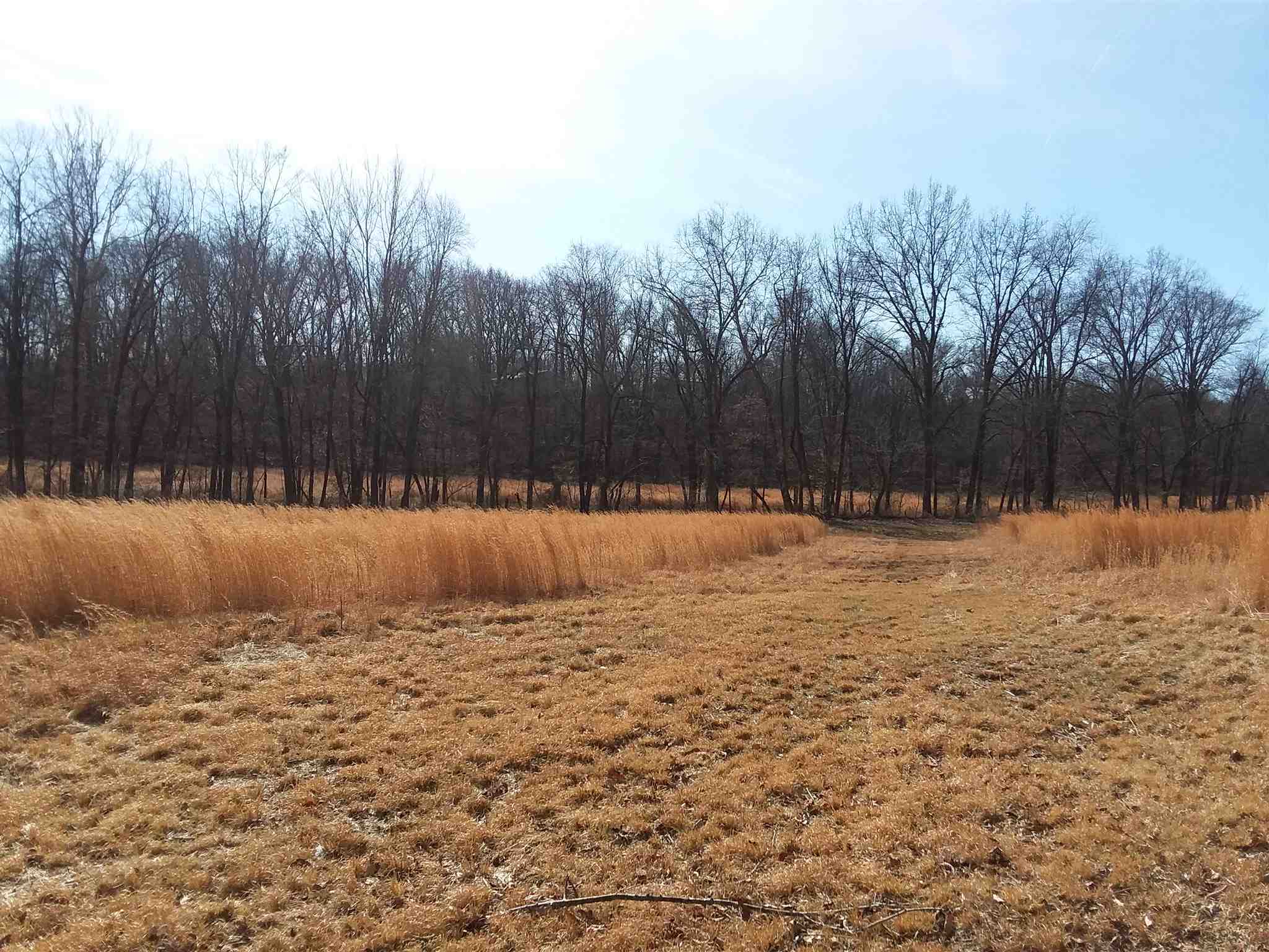 7500 Selvin Road Dale, IN 47523 - Photo 2 of 15