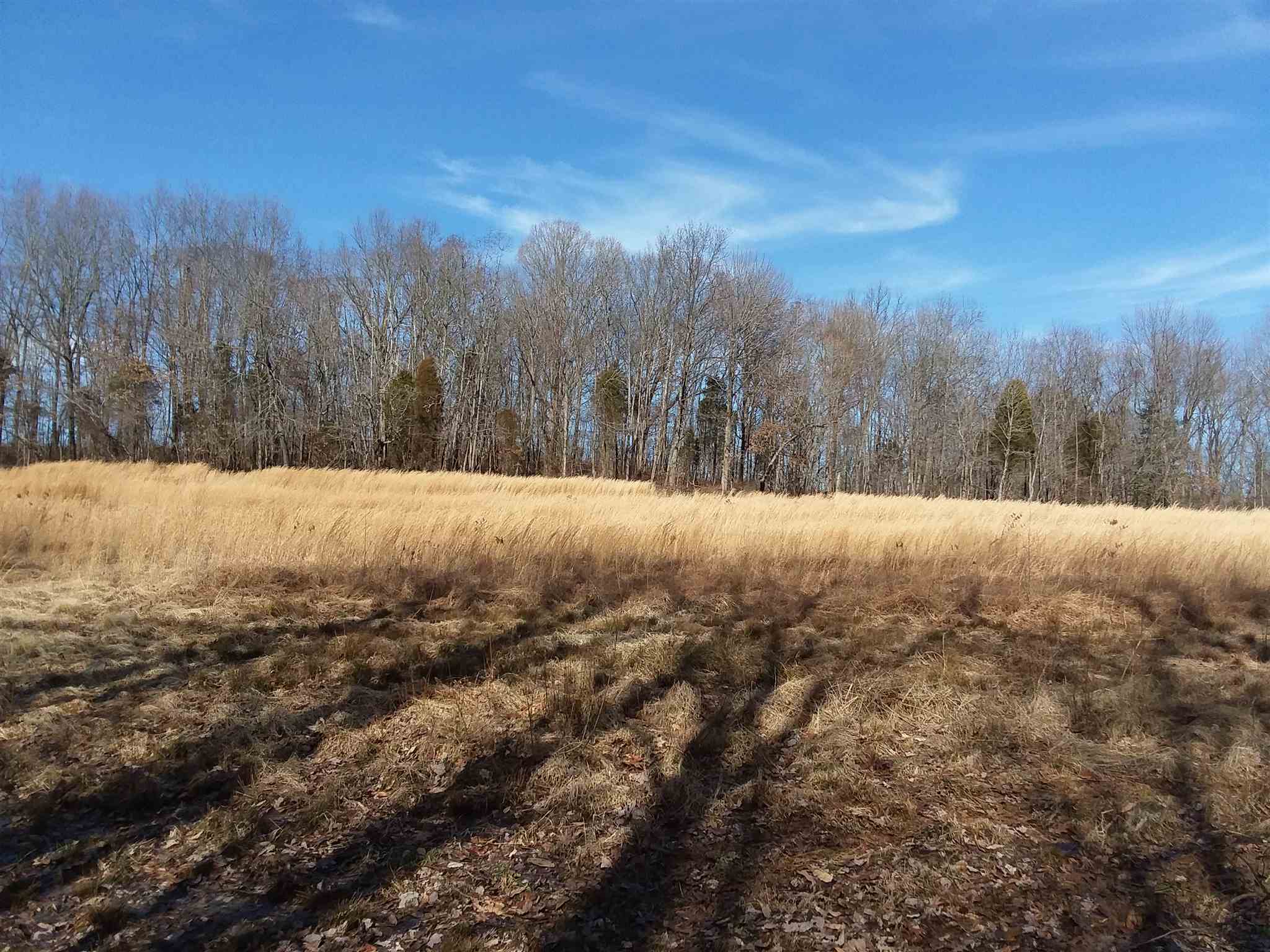 7500 Selvin Road Dale, IN 47523 - Photo 11 of 15