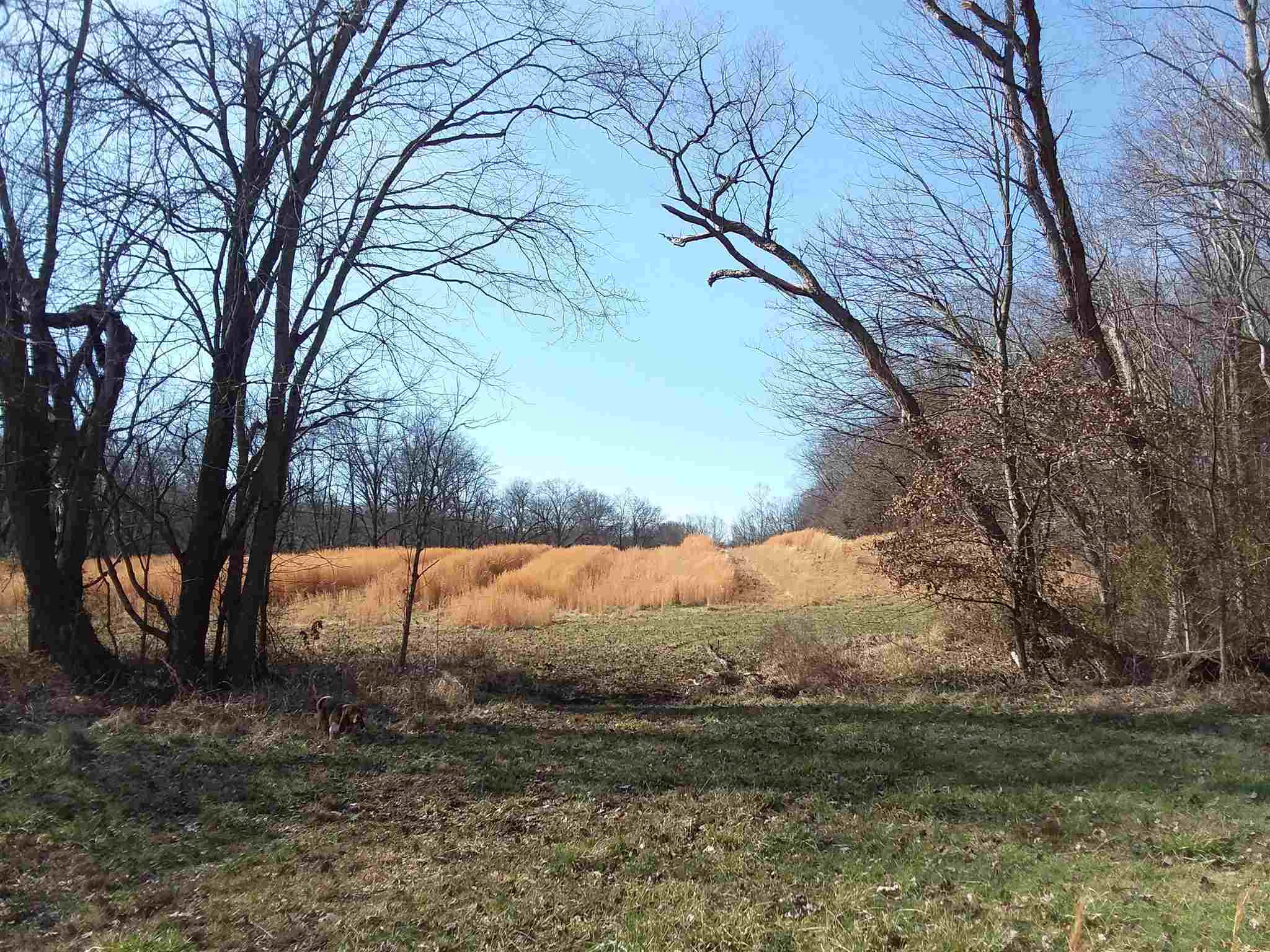 7500 Selvin Road Dale, IN 47523 - Photo 12 of 15