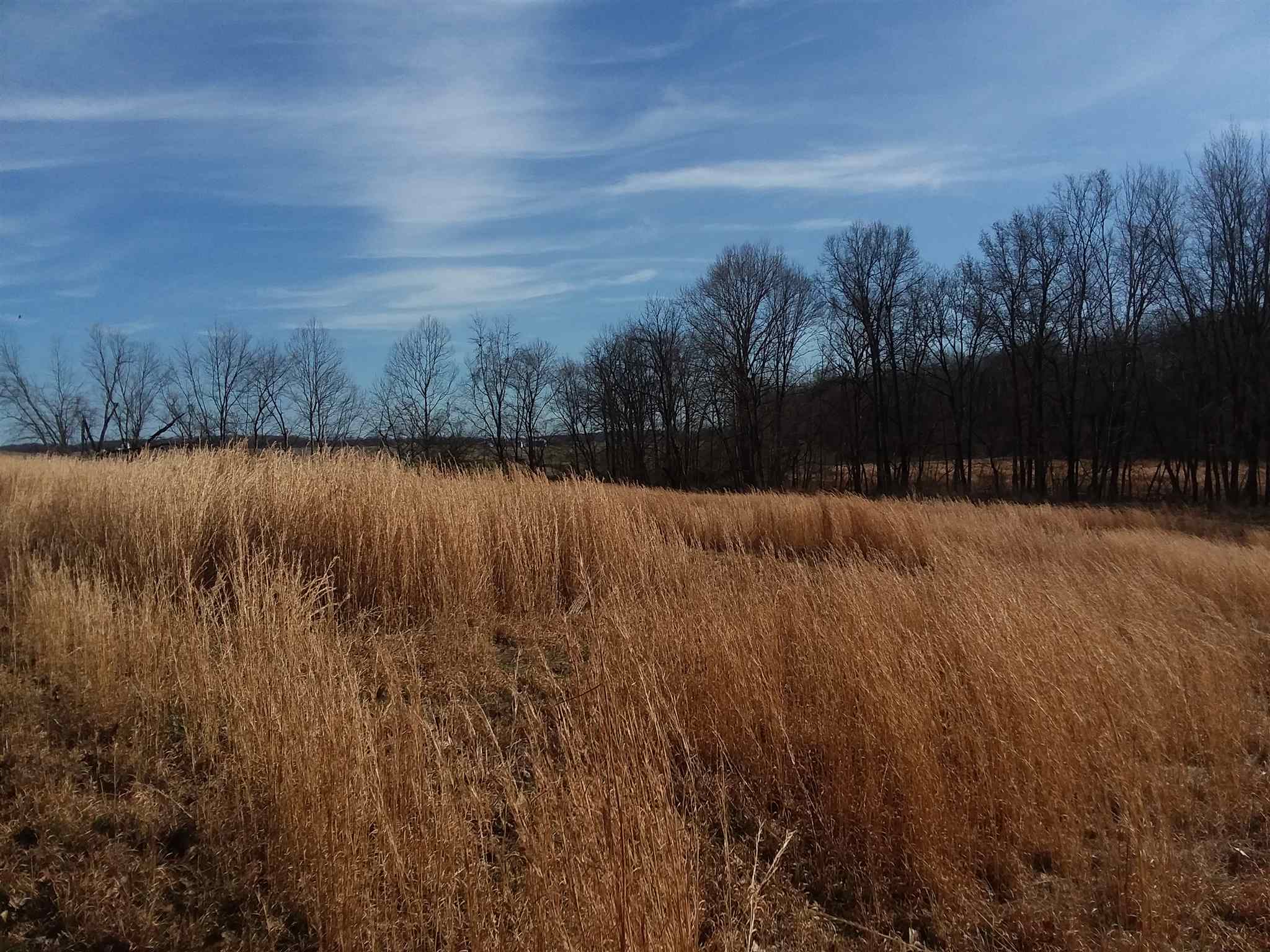 7500 Selvin Road Dale, IN 47523 - Photo 3 of 15