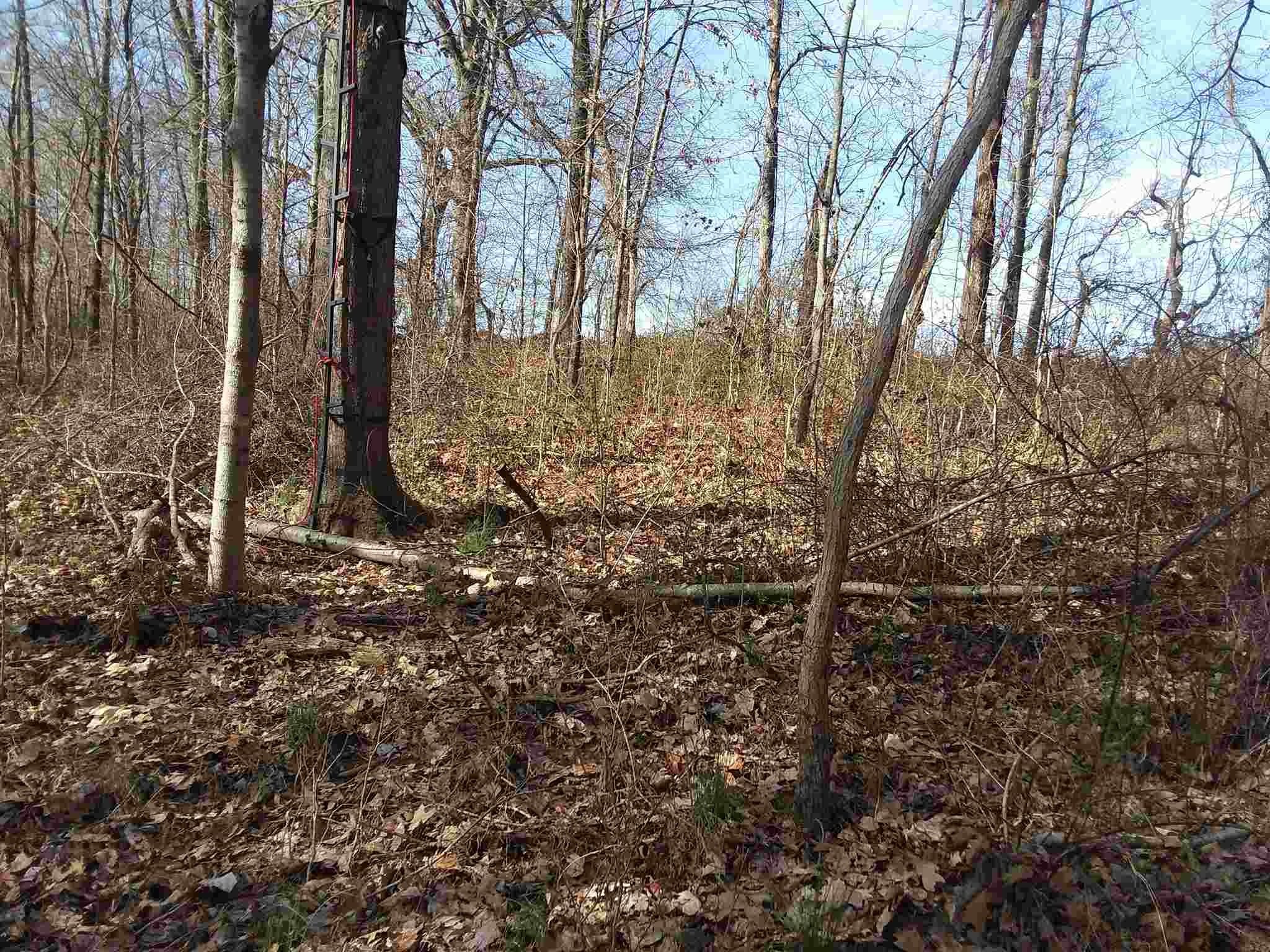 7500 Selvin Road Dale, IN 47523 - Photo 4 of 15